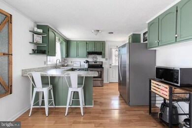 272 Lower View Rd, Strasburg, VA 22657 - photo 5