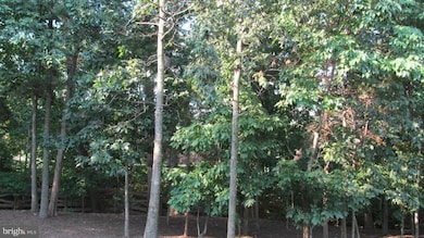 12363 Cold Stream Guard Ct, Bristow, VA 20136 - photo 3