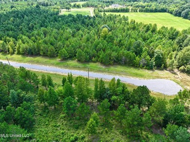 Stout Farm Drive Lot: 64, Madison, MS 39110 - photo 6