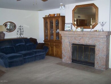Fireplace in Family Room