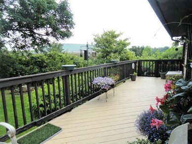 Treetop View