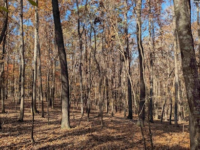0 Baron Dekalb Rd, Camden, SC 29020 - photo 2