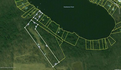 0 Lake St unit 20-3791, Fleetville, PA 18420 - photo 2