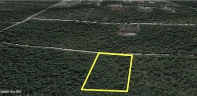 931 Mallard, Southport, NC 28461 - photo 2