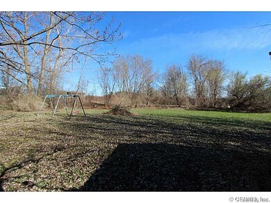 Backyard.