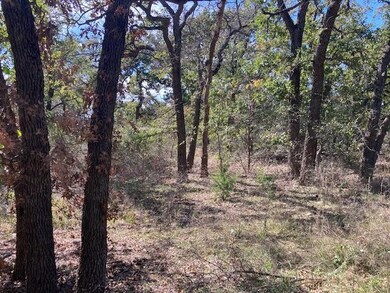 1900 Ridgewood Dr, Joshua, TX 76058 - photo 2