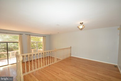 9023 Golden Sunset Ln, Springfield, VA 22153 - photo 6