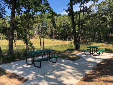 437 Live Oak Dr, Oxford, MS 38655 - photo 5