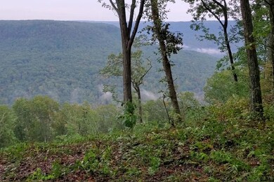 0 High Point Ln unit 1326155, Jasper, TN 37347 - photo 3