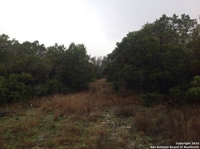 222 County Road 244, Hondo, TX 78861 - photo 6