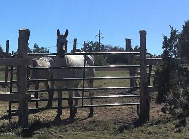 Bring the 4-Legged and 4-Wheeled!