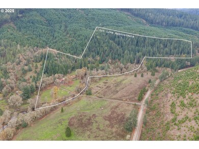 9740 Upper Olalla Rd, Winston, OR 97496 - photo 2