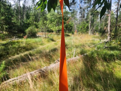 VL W Hb Road (Trail 6545), Baldwin, MI 49304 - photo 5