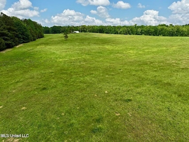 1 Sandy Ln, Flora, MS 39071 - photo 6