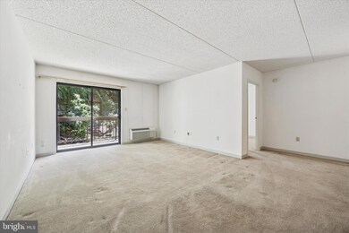 800 Avondale Rd unit 2C, Wallingford, PA 19086 - photo 5