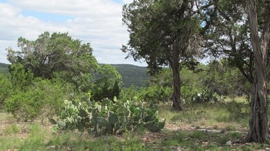 686 Cedar Hills Dr, Fredericksburg, TX 78624 - photo 4