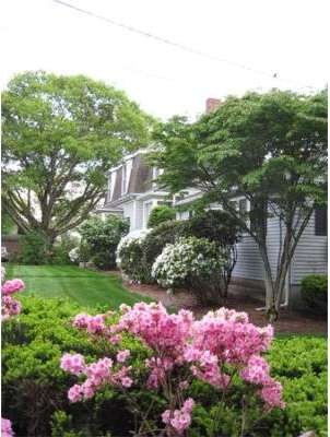 67 Lunda St, Waltham, MA 02451 - photo 5