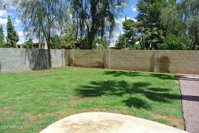 35-grass-backyard