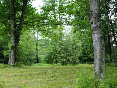 0 Lesperance Rd unit 1632283, Albion, ME 04910 - photo 5