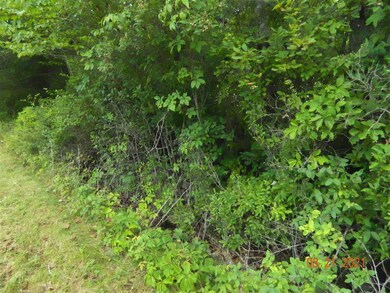 00 N Village Rd unit 4-03, Loudon, NH 03307 - photo 4