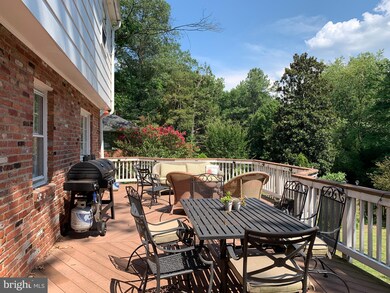 1005 Dalebrook Dr, Alexandria, VA 22308 - photo 7