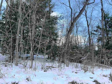 TBD Donegal Bay Rd, Beaver Island, MI 49782 - photo 2