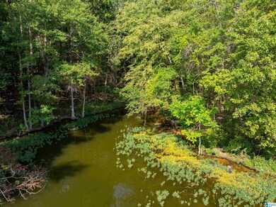 Lot 4 Constellation Ave, Alpine, AL 35014 - photo 7
