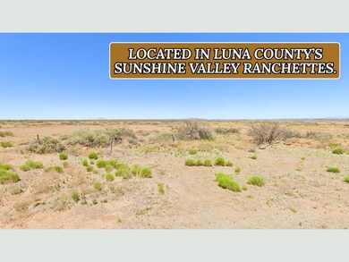 Sunshine Lun unit a New Mexico, Sunshine, NM 88030 - photo 7