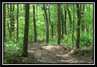 35681 Moore Rd, Union Furnace, OH 43158 - photo 2