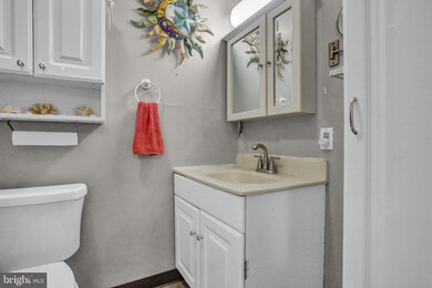 305 Alleghenyville Rd, Mohnton, PA 19540 - photo 6