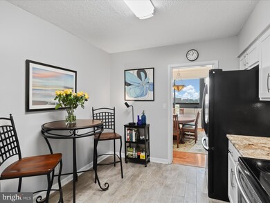 Skyline Square North and South unit 1309 S, Falls Church, VA 22041 - photo 4