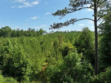 0 Canyon Rd, Lumpkin, GA 31815 - photo 2