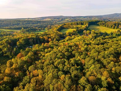 0 Pitts Rd unit 20232833, Chatham, NY 12136 - photo 2