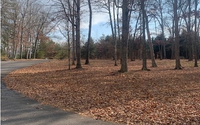 Additional View