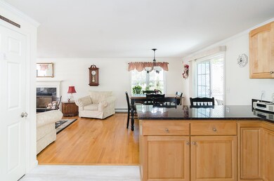 21 Winter Cir, Rockland, MA 02370 - photo 4