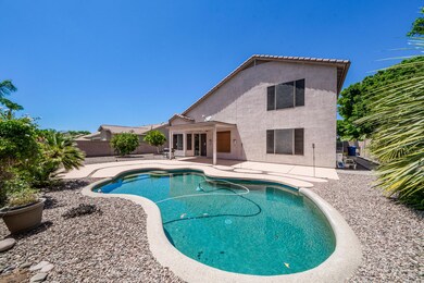 Low maintenance Backyard