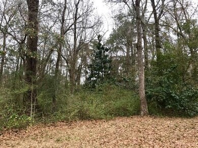 0 Saint Peter Dr, Slidell, LA 70460 - photo 4