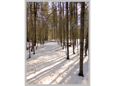 Lot #10 Judges Rd, Thornton, NH 03285 - photo 3