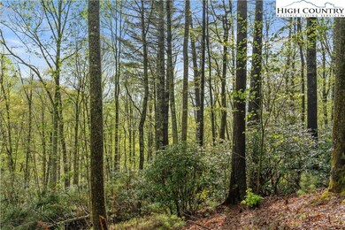 TBD Springhollow Rd, Banner Elk, NC 28604 - photo 2