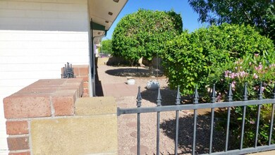Rear yard