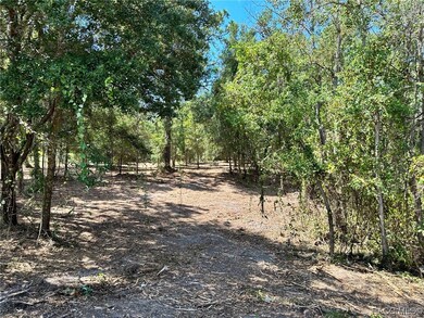 3190 N Chameleon Point, Crystal River, FL 34428 - photo 2