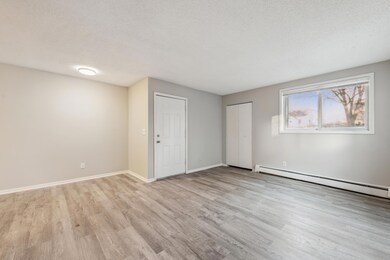 310 Lawson Ave E, Saint Paul, MN 55130 - photo 4