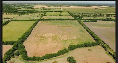 Tract 3 County Rd 4040, Ector, TX 75439 - photo 4