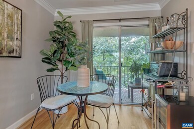 2421 Barracks Place unit 4, Charlottesville, VA 22901 - photo 7