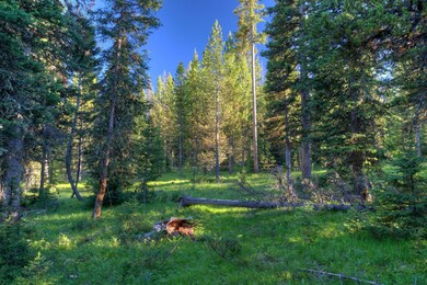Lot 16 Elk Ridge Ranch, Big Sky, MT 59716 - photo 2