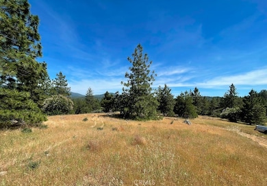 0 Triangle Rd unit MP24174683, Mariposa, CA 95338 - photo 4