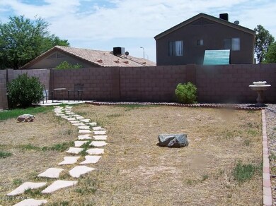 Back yard stone pathway