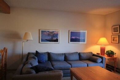 56 Mountain River Ave unit 6, Thornton, NH 03285 - photo 2