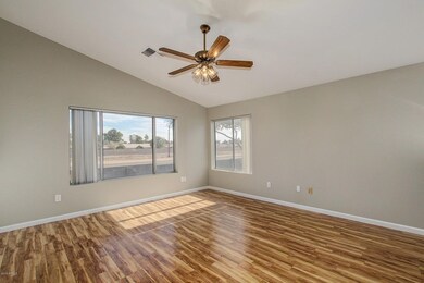2333 S Ananea Mesa (5)