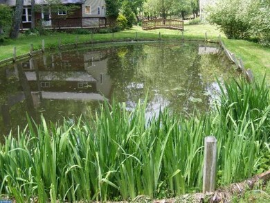 215 Blue Rocks Rd, Lenhartsville, PA 19534 - photo 5